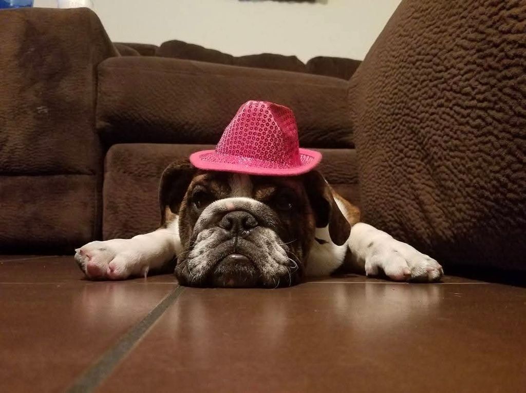 Baby "Sugar Bear" Carranza Profile Photo