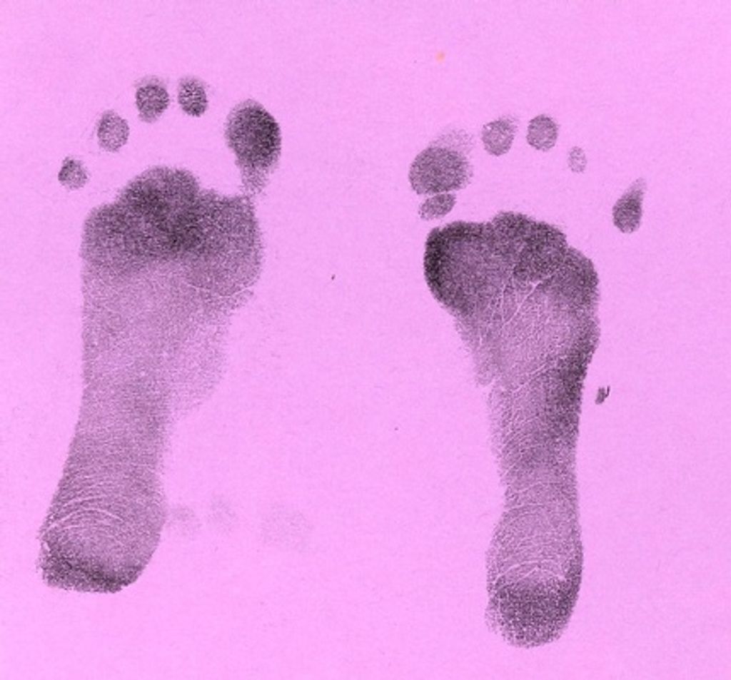 Carsin Ann Williamson Profile Photo