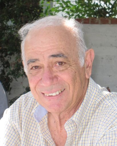 Sol de Picciotto Profile Photo