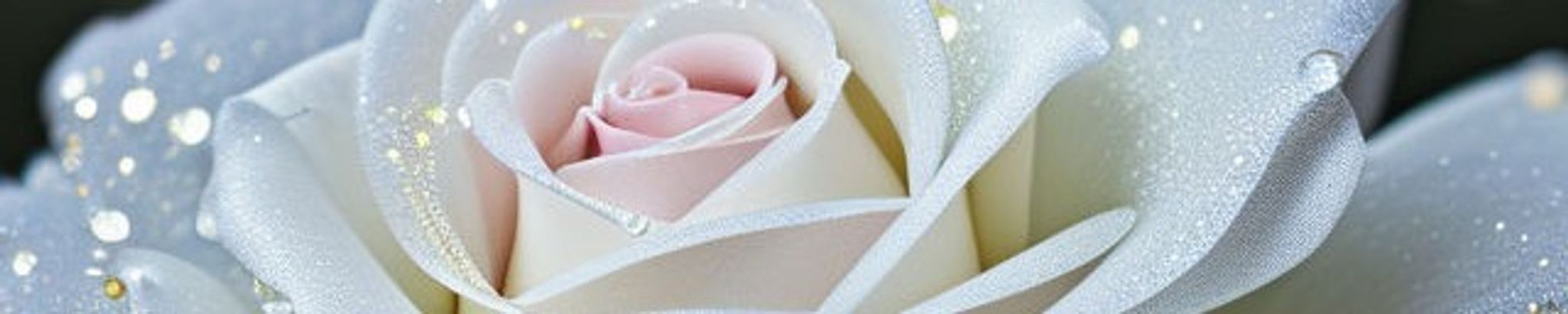 Cover photo for Maria Iaccino's Obituary