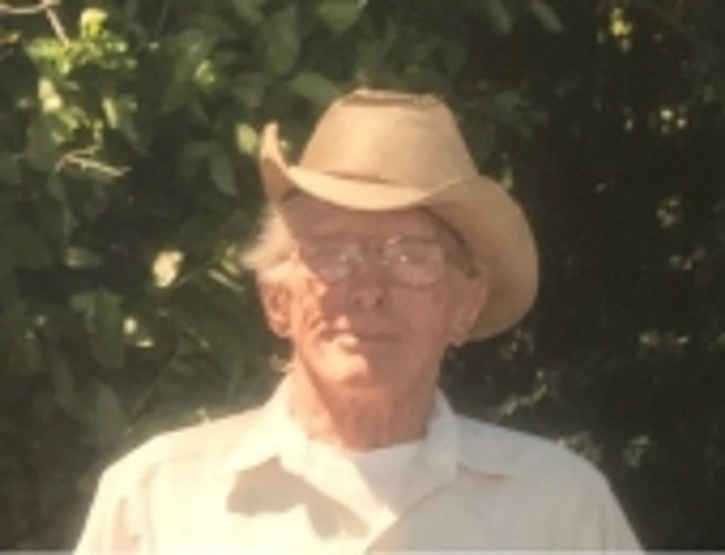 Francis L. Wickens