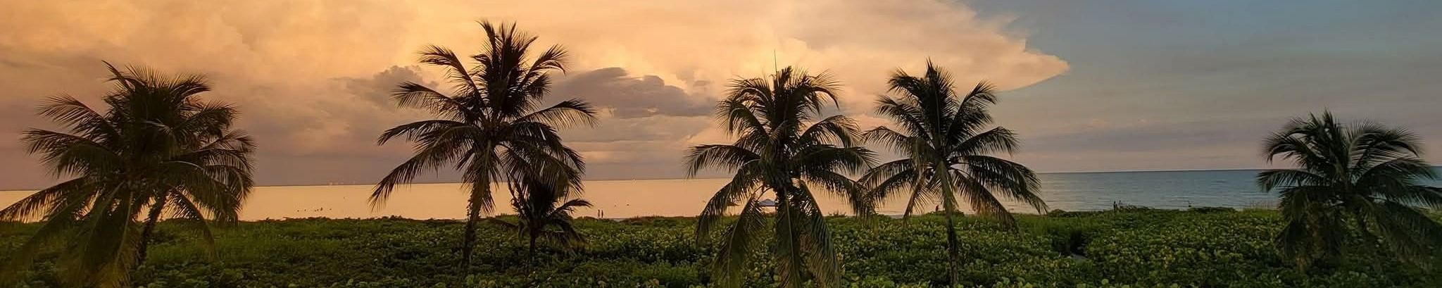 Cover for Mark David Priborsky's Obituary