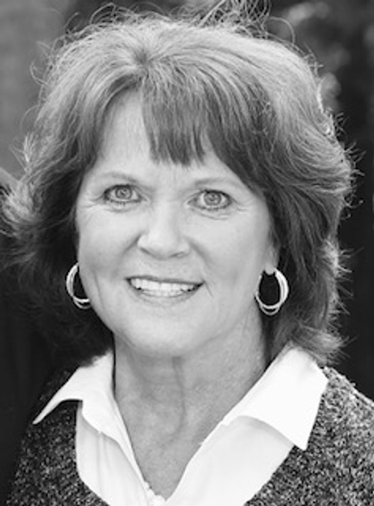 Karen Elaine (Shanholtzer)  Harper