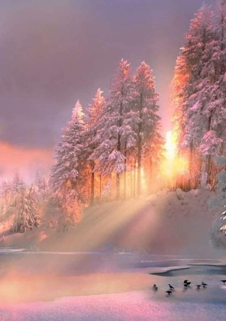 Edith Schell Profile Photo