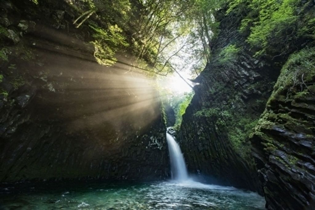 Edward P Lapham Profile Photo