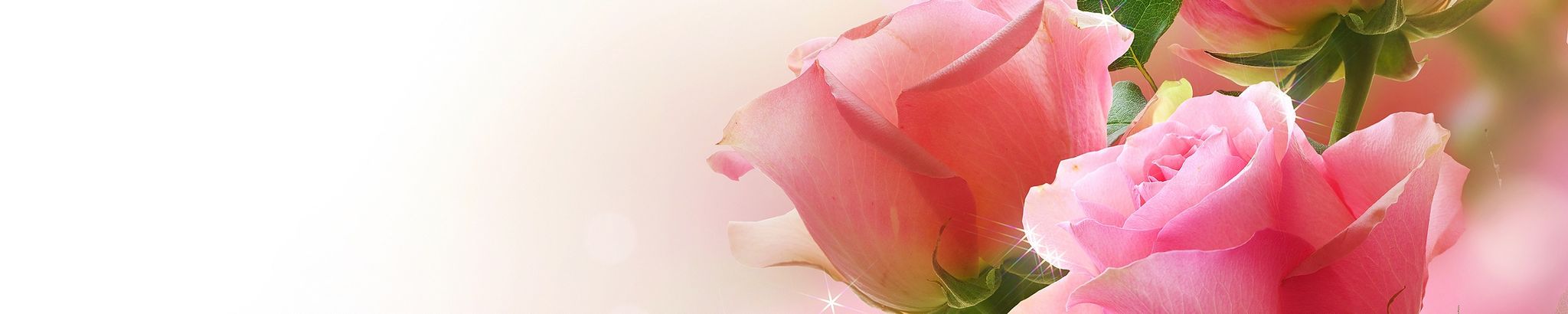 Cover for Audrey Bickley's Obituary