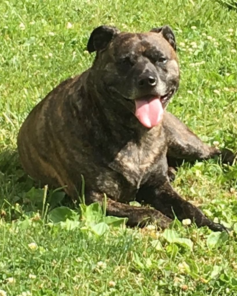 Repo Seymour Profile Photo