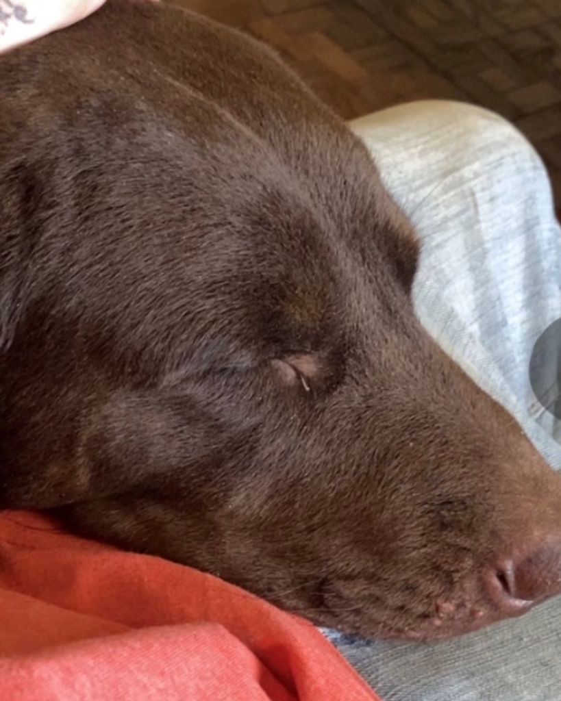 Slash Andrews Profile Photo