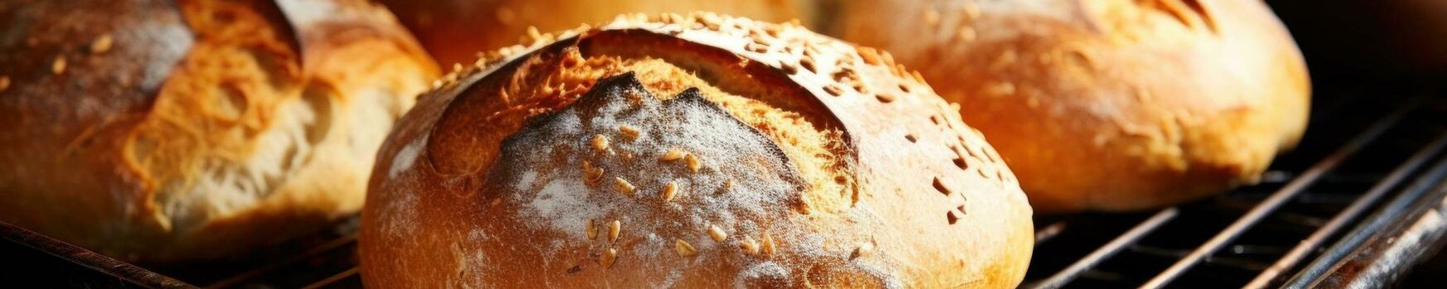 Cover for Catherine "Cathy" M. Edsell's Obituary