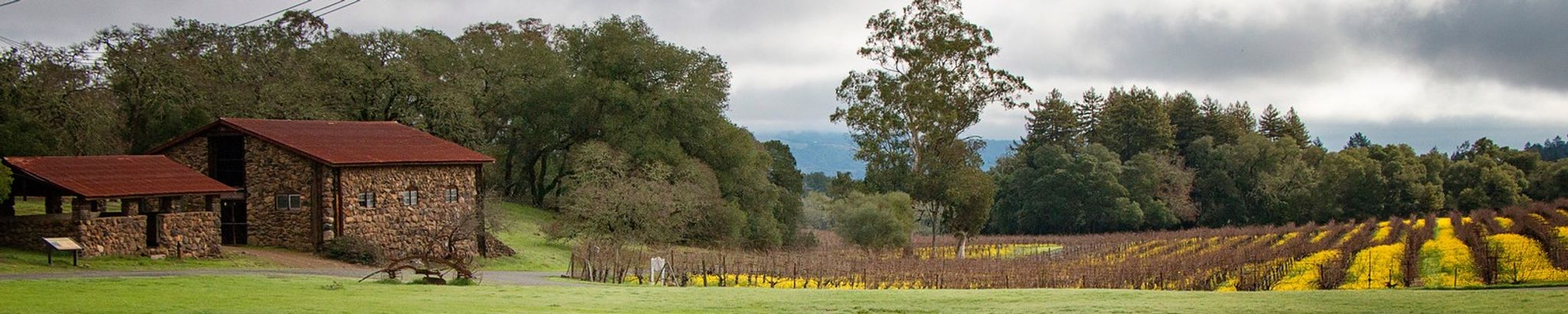 Cover photo for Dr. Earle Gene Labor's Obituary