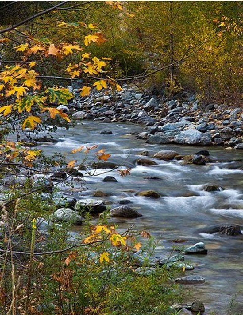 Betty Jane (Riffey)  Himelright Profile Photo