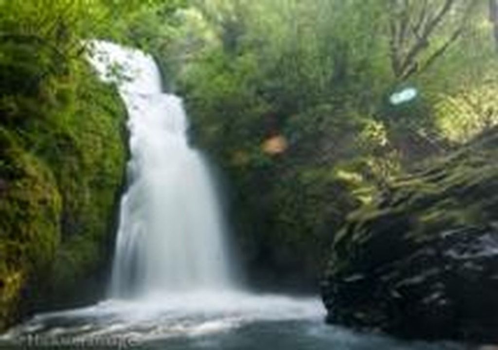 James Patrick Parsons Profile Photo