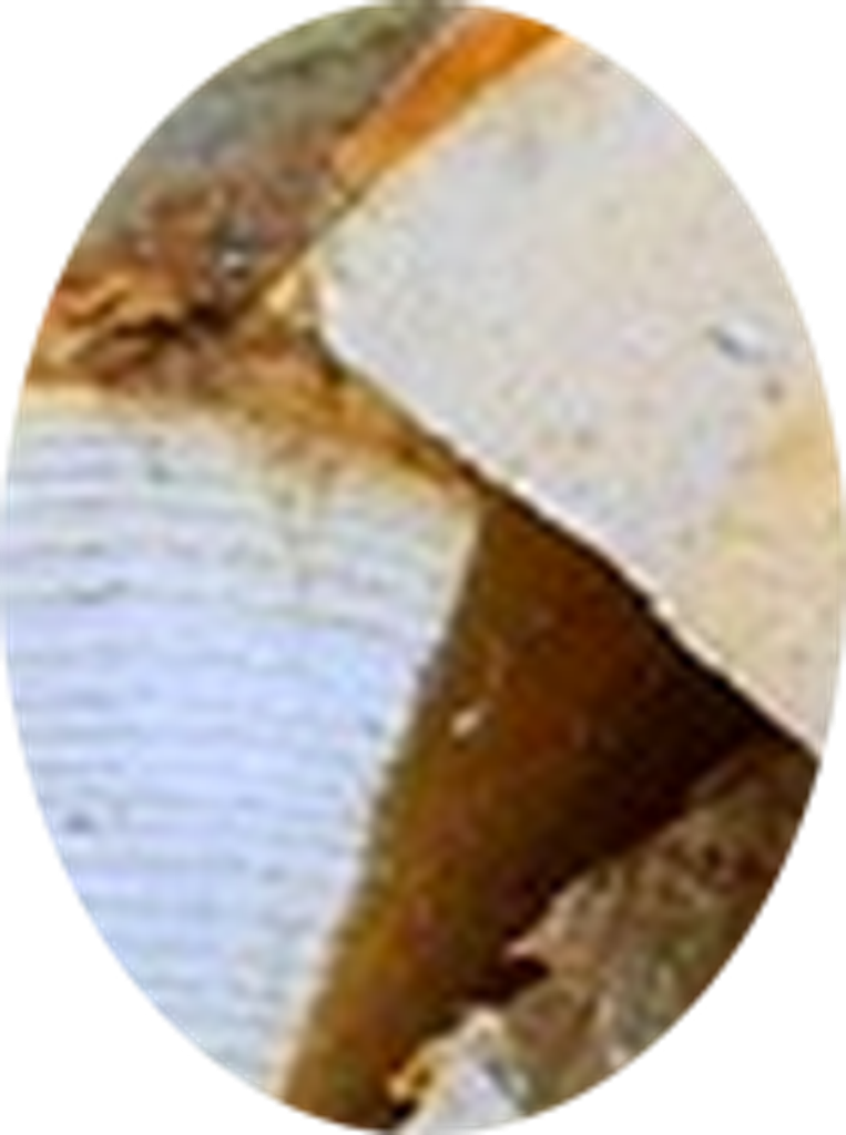 Steven Jensen Profile Photo