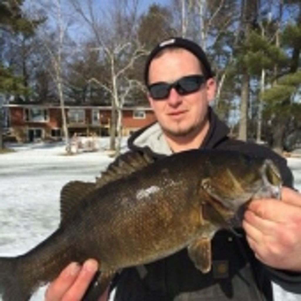 Brian L. Hollis
