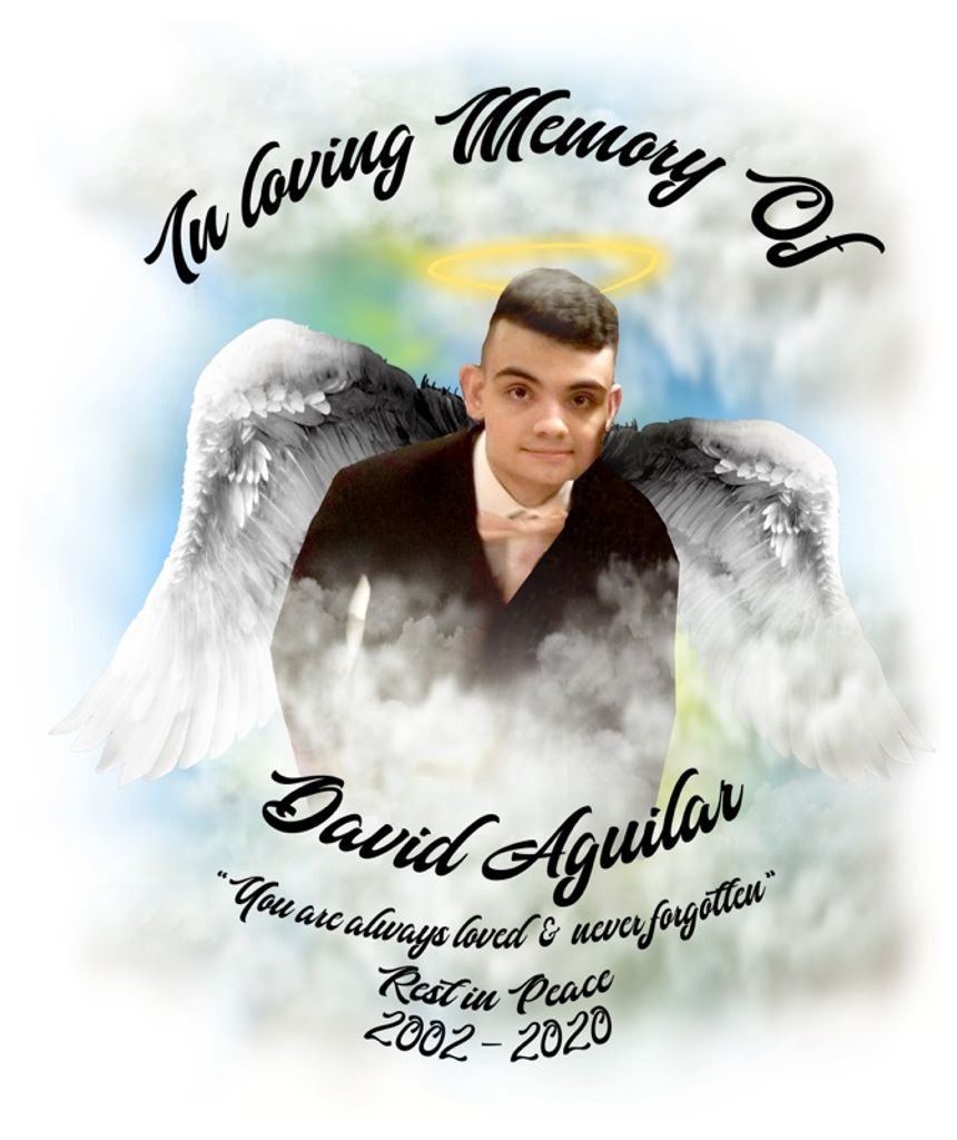 David D. Aguilar