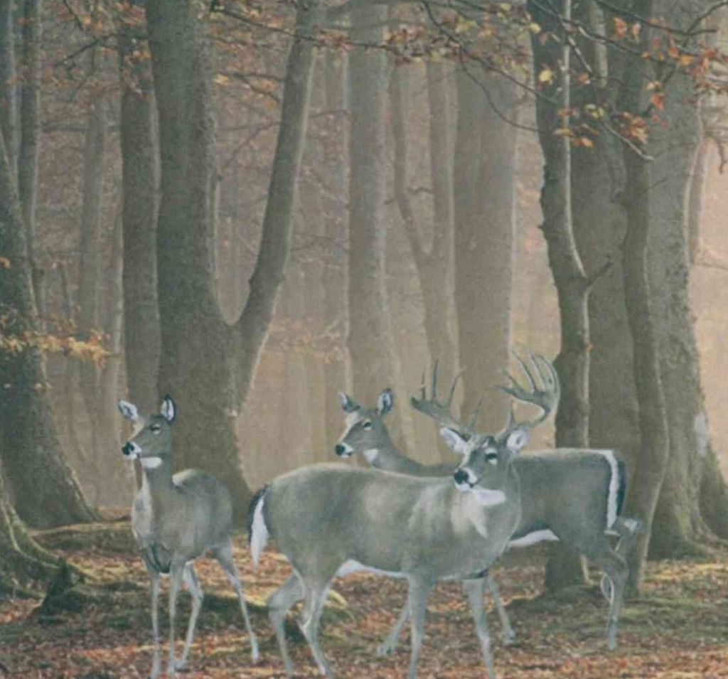 Robert L. Hoffman Profile Photo