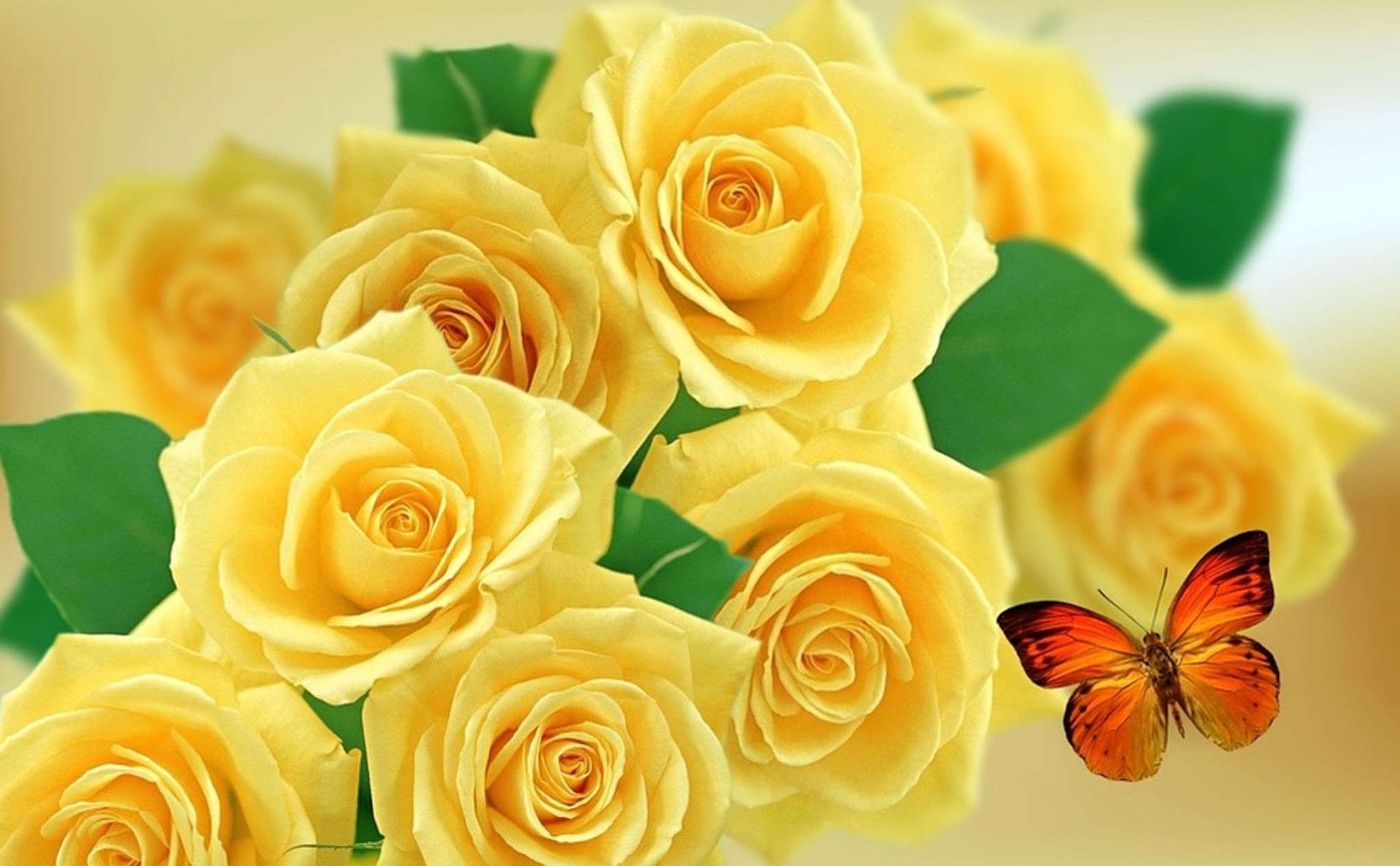 Cover photo for Kathy L. Woodcock's Obituary
