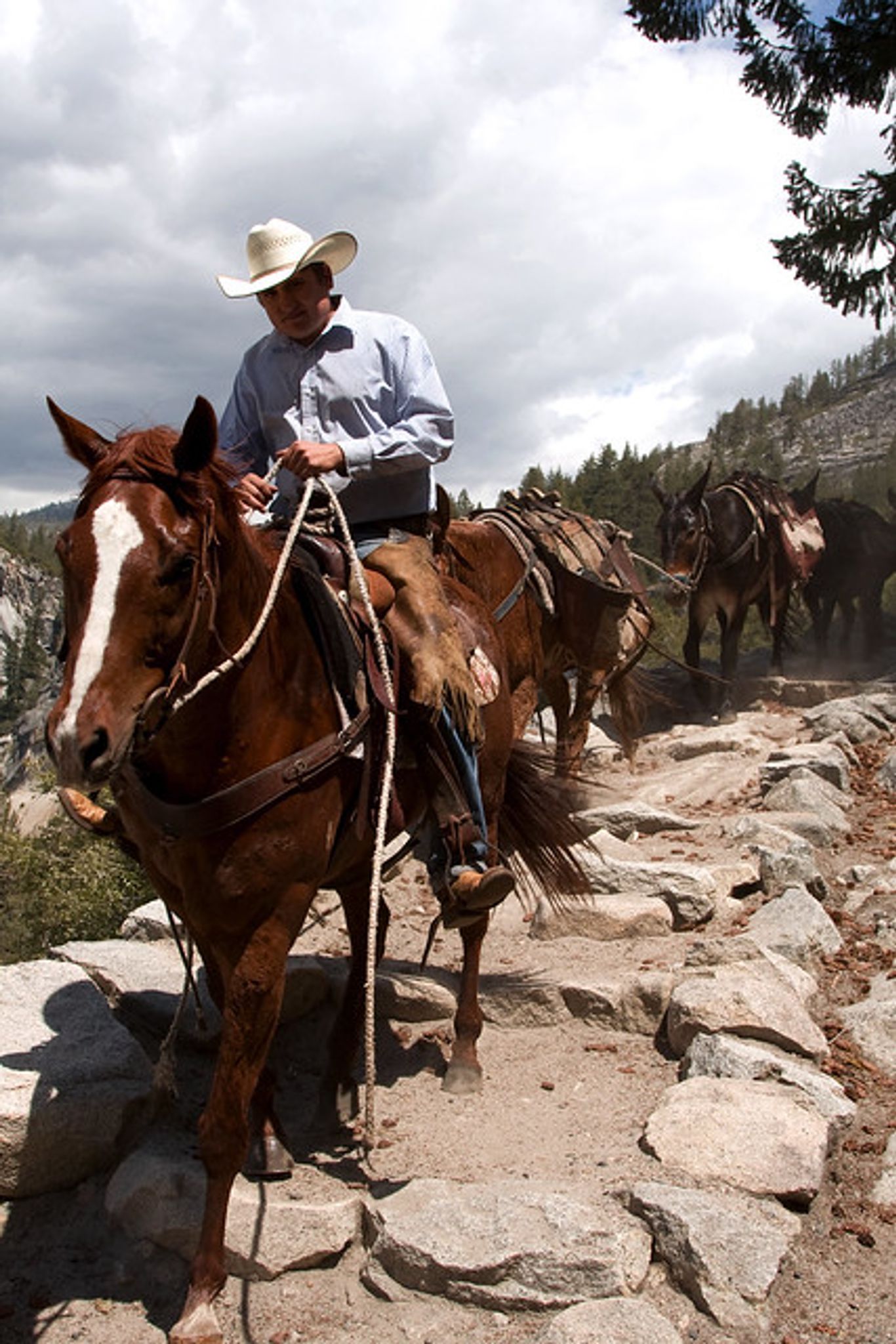 Cover photo for Jimmy Dale Bryant's Obituary