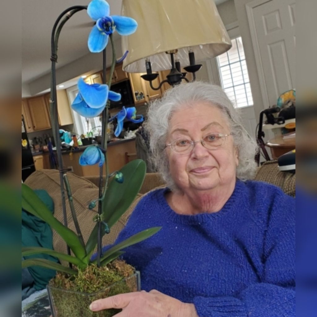 Sally Ann Witty Profile Photo