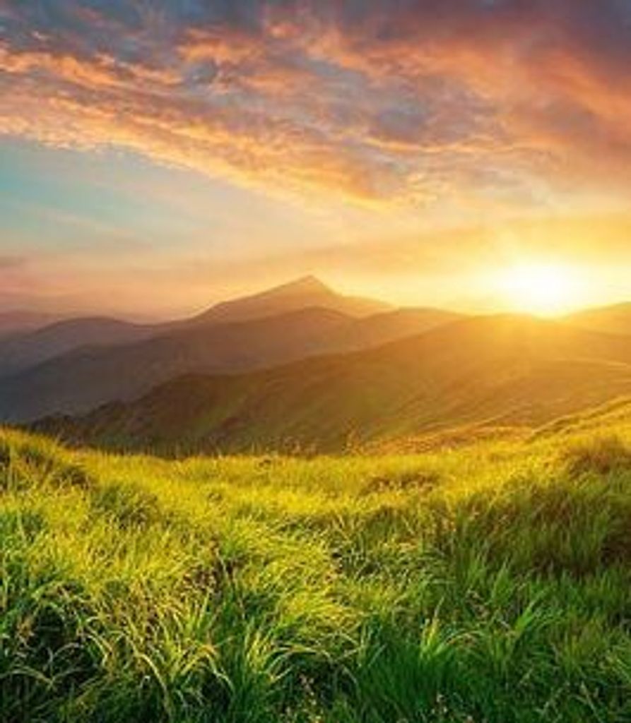 Louis Cook Profile Photo