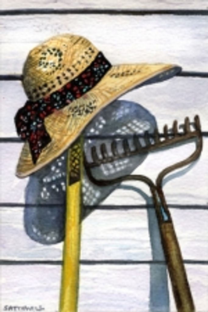 Evelyn M. Miller