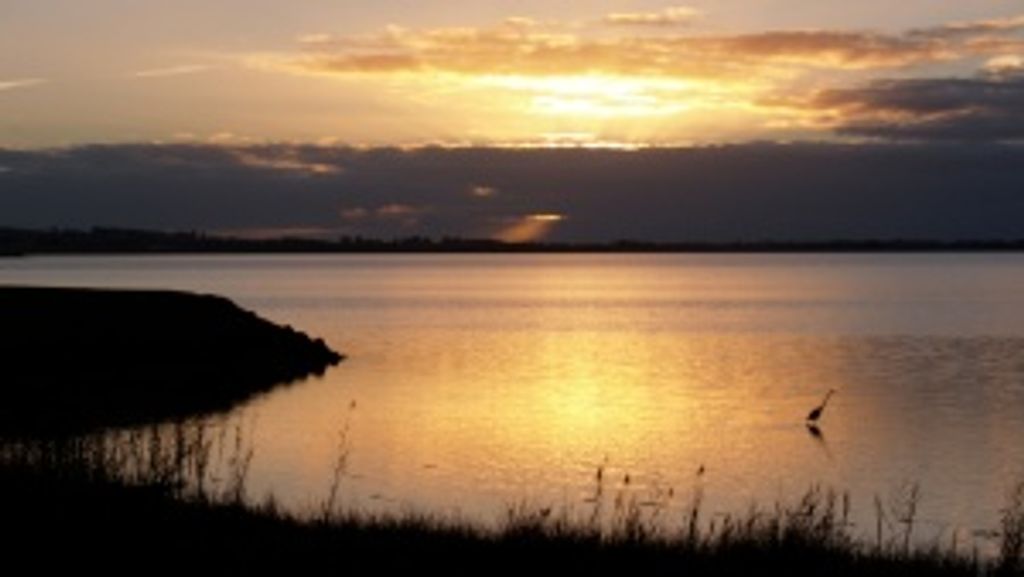 Steven Neil Atley Profile Photo