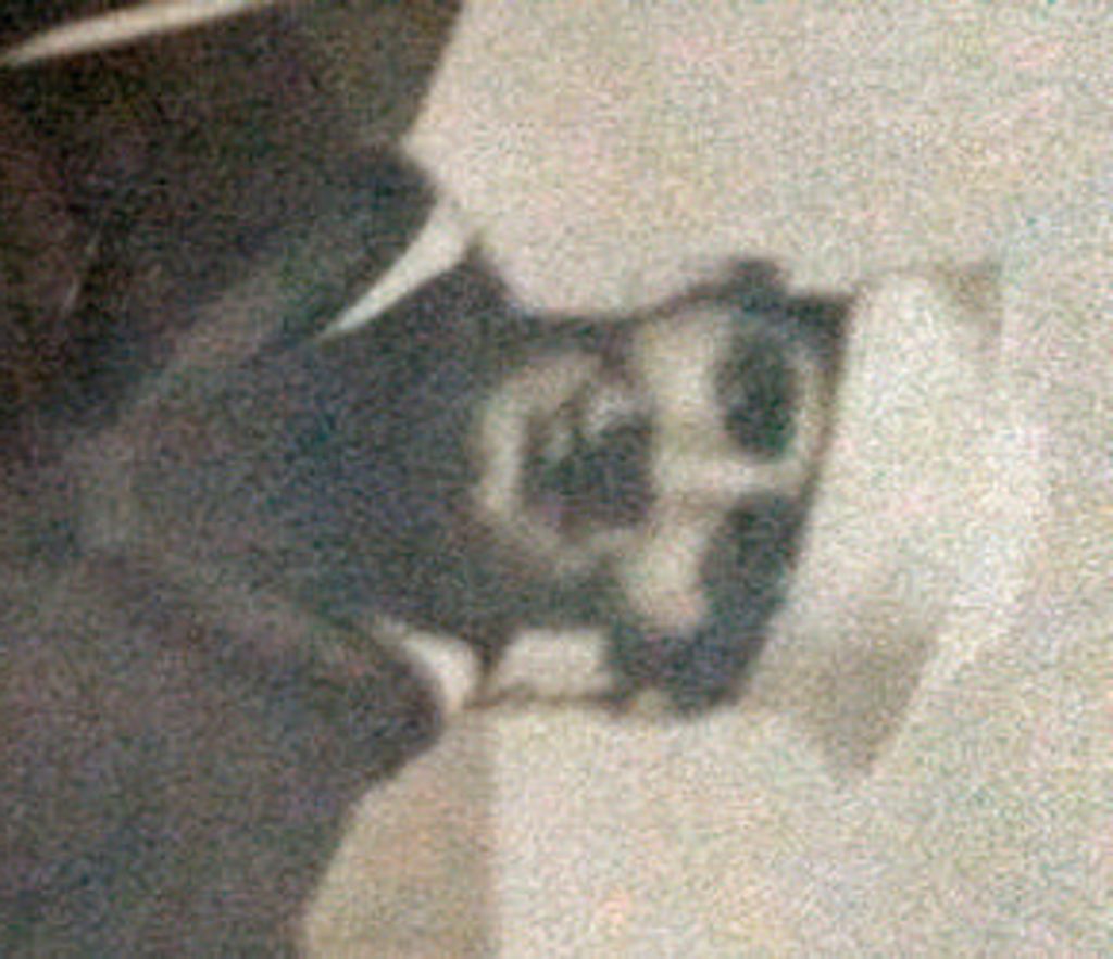 Ernest J. Hahn