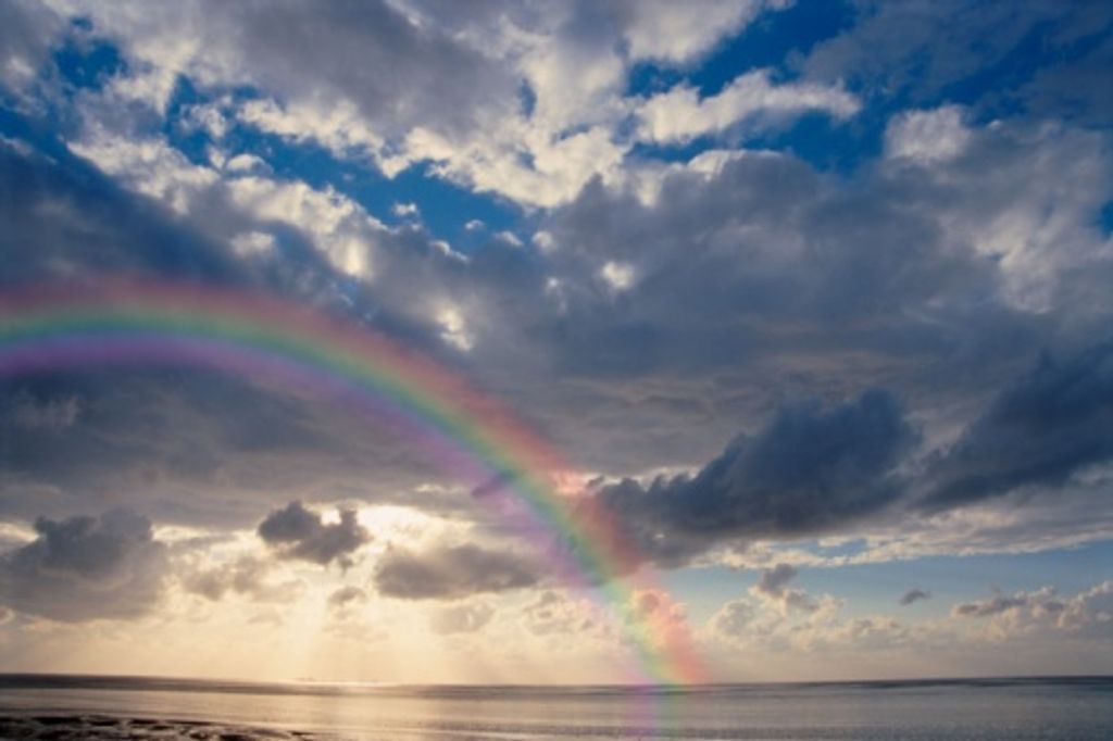 Barbara Louise Tuck Profile Photo