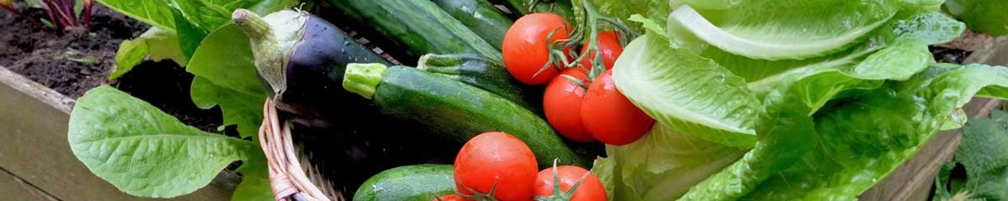 Cover for Sergio Clauser's Obituary