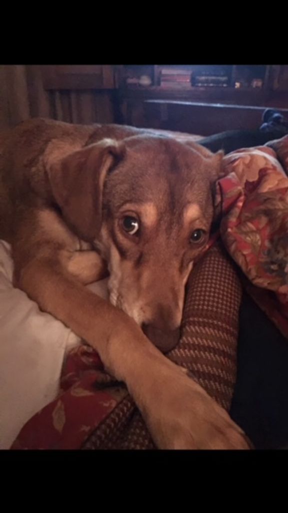 Bentley Bean Profile Photo