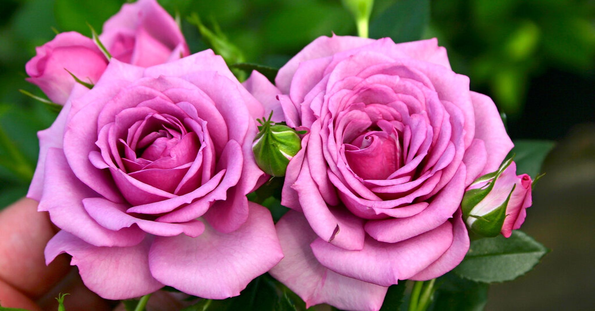 Cover photo for Barbara Brown Robinson's Obituary