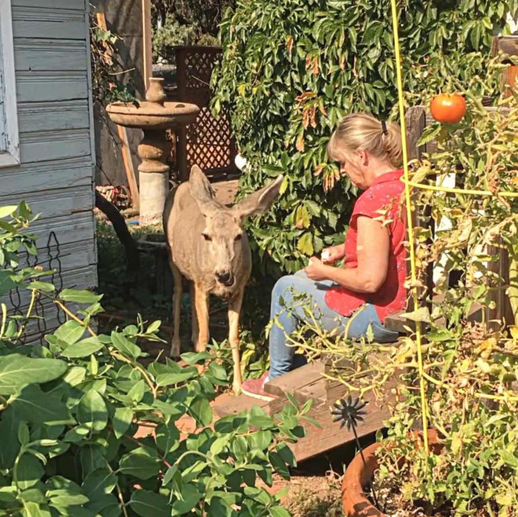 Julie Cassat Trout Profile Photo