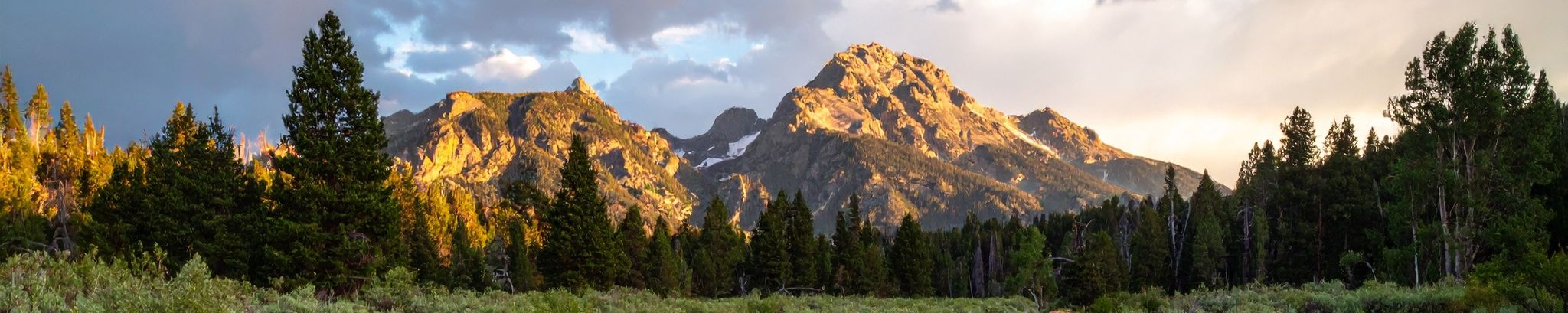 Cover for Jerrilyn Johnson Gleave Davis's Obituary