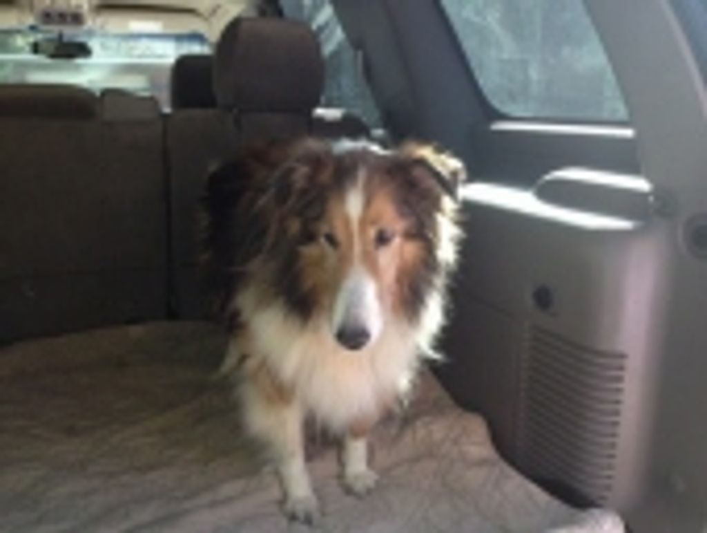 Toby Shaw Profile Photo