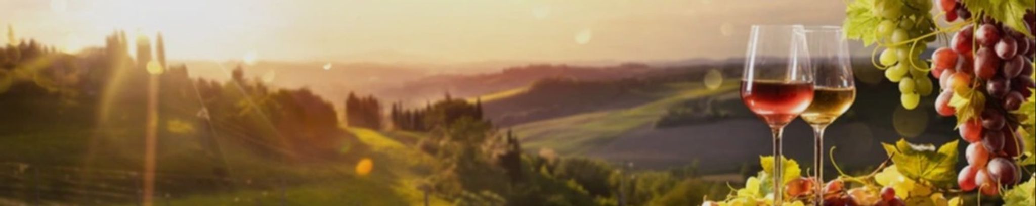 Cover for Dennis J Palik's Obituary