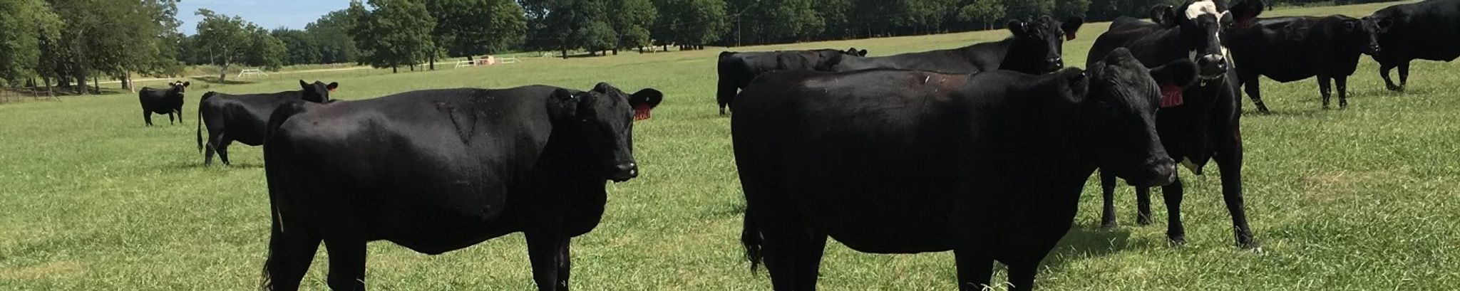 Cover photo for James Dale Davis's Obituary