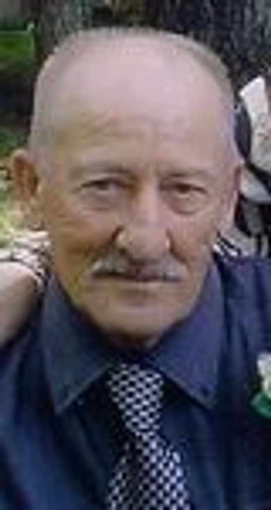 Virgil E. Auner