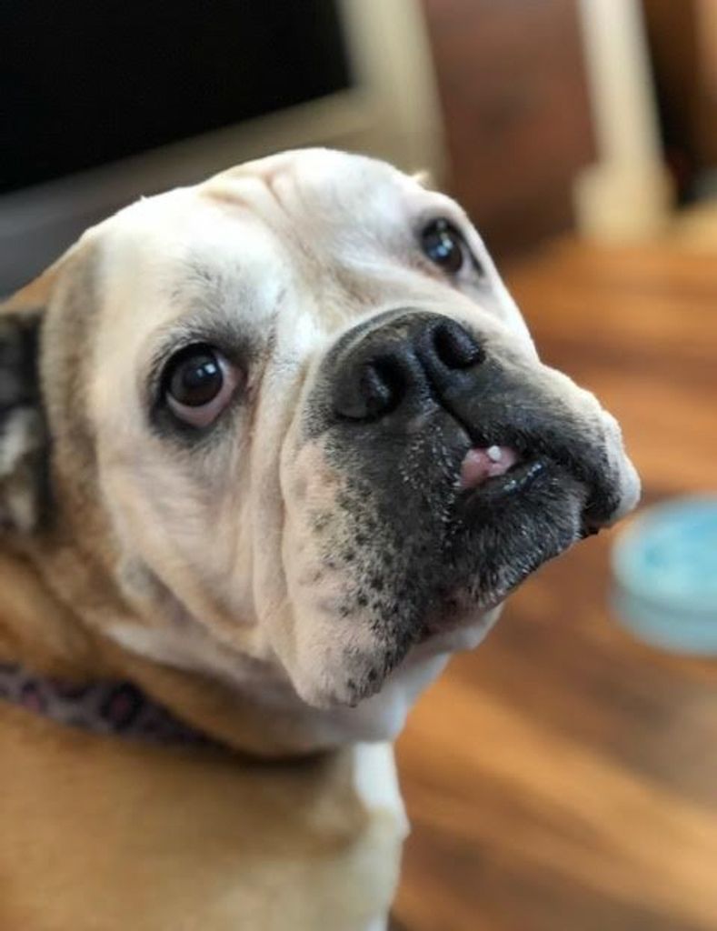 Zoee Fredregill Profile Photo