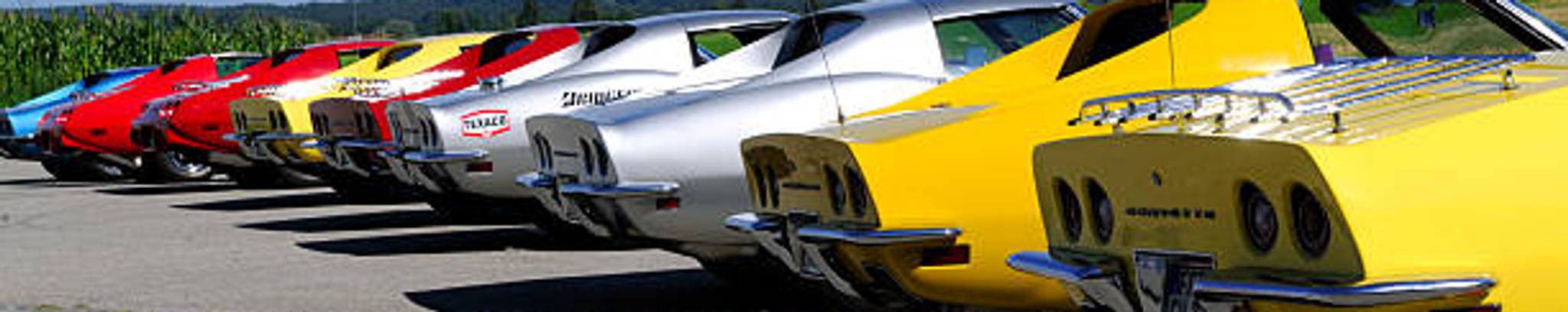 Cover for Dominick Donald Susinno's Obituary