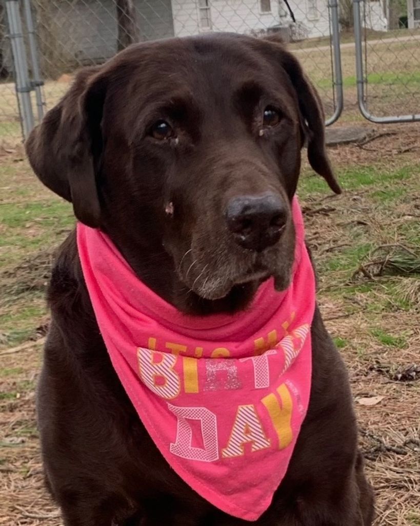 Sadie Kae Williams Profile Photo