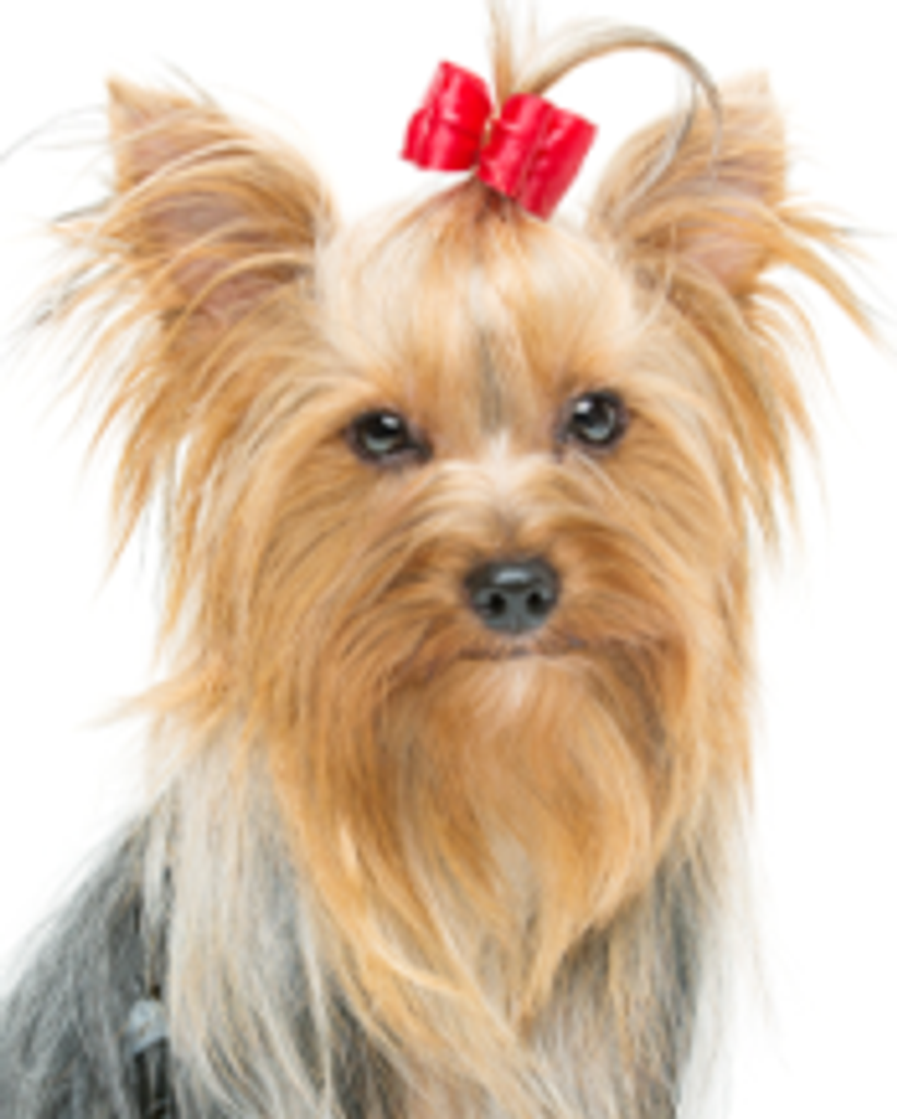 Beverly A. Upchurch Profile Photo