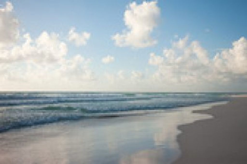 Michelle  Marie Miller