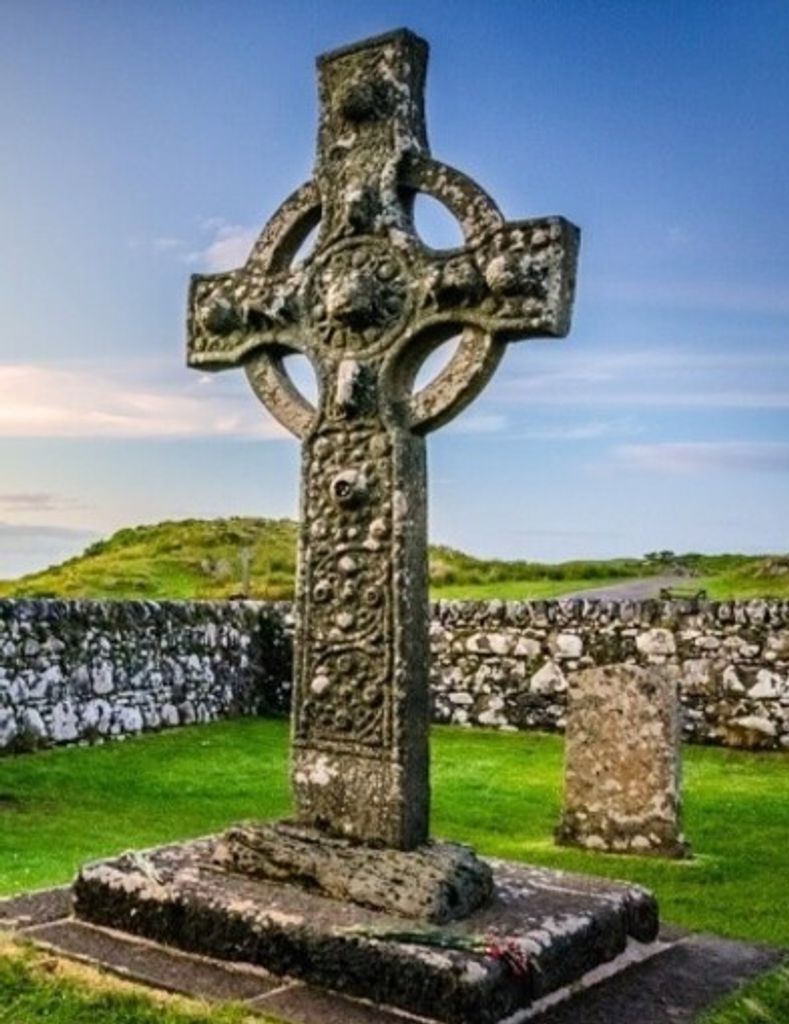 Johanna Collins Profile Photo