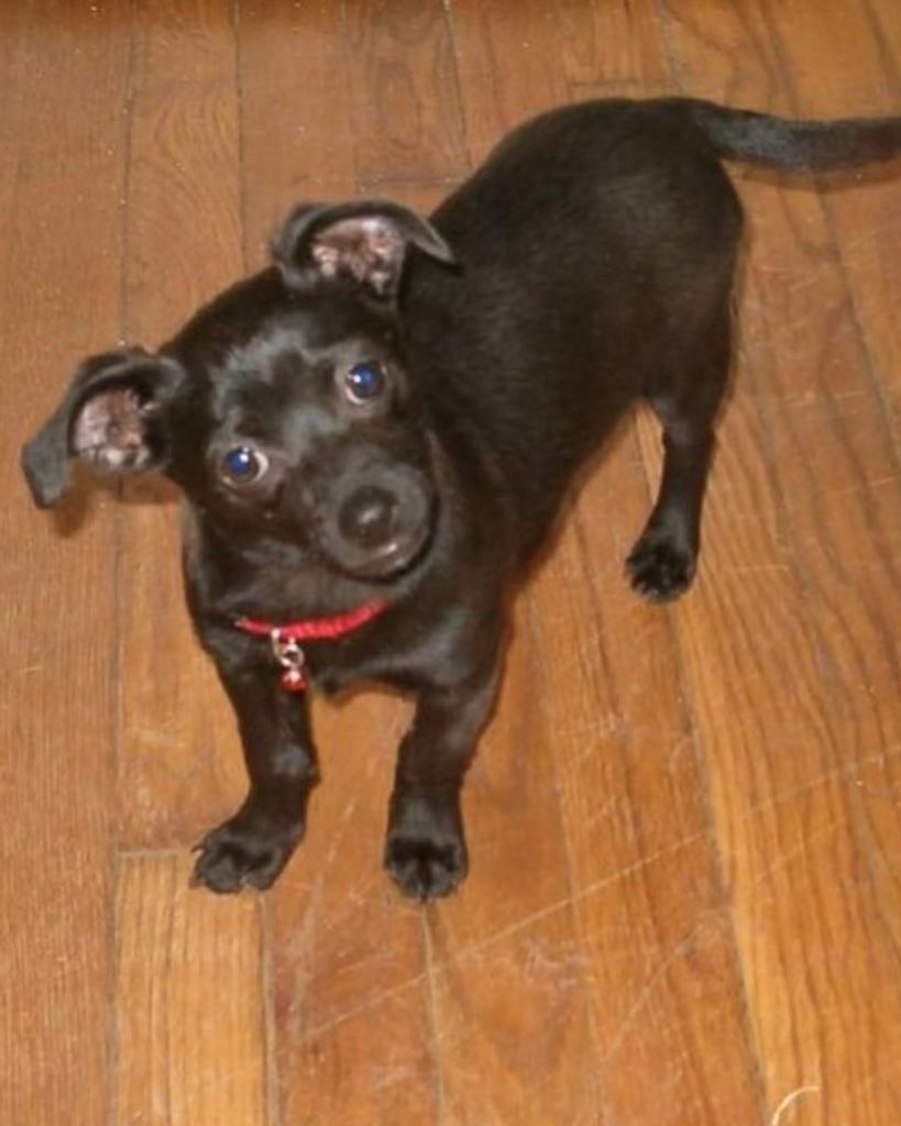 Snookie Mulanax Profile Photo