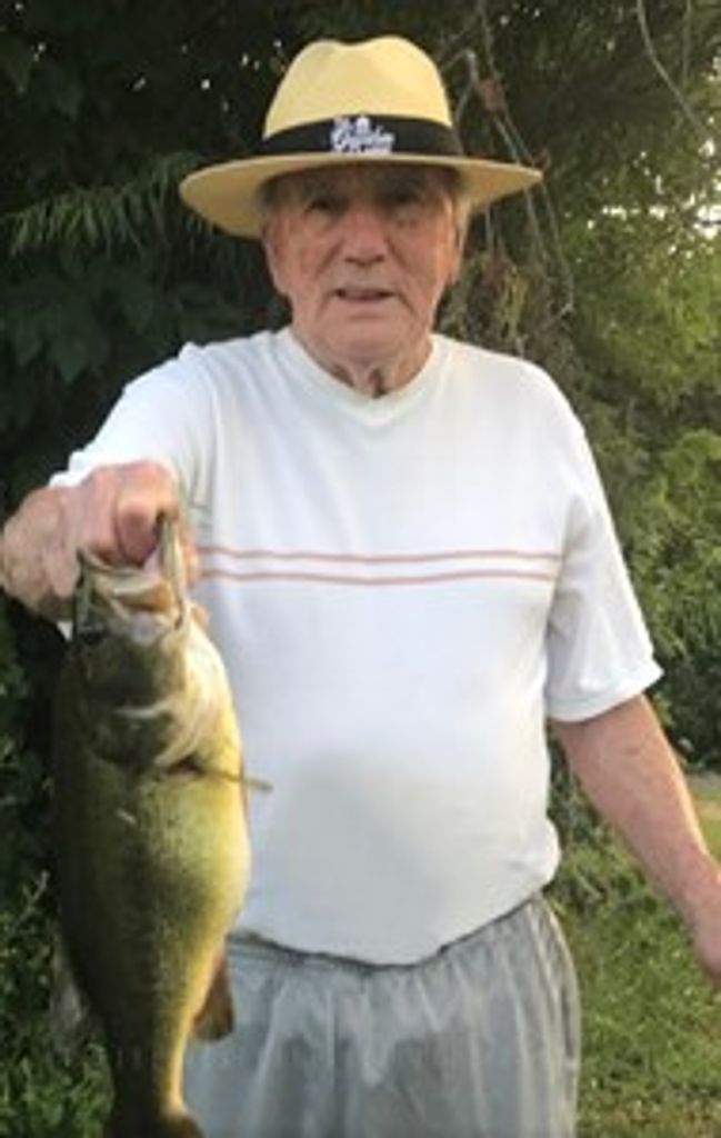 Albert Lewis Henegar