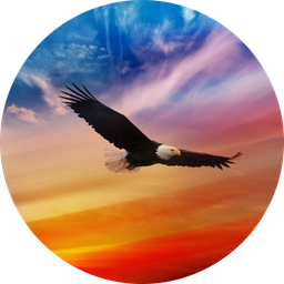 Emblem
