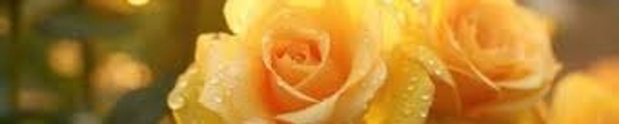 Cover photo for Margaret Ann Seaton's Obituary