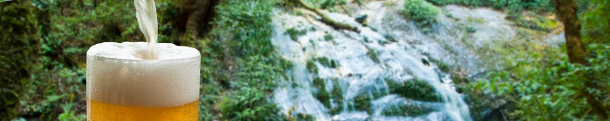 Cover photo for Carol Jean Olson's Obituary