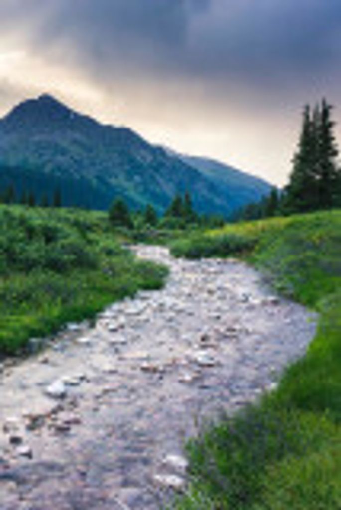 Robert Gideon Profile Photo