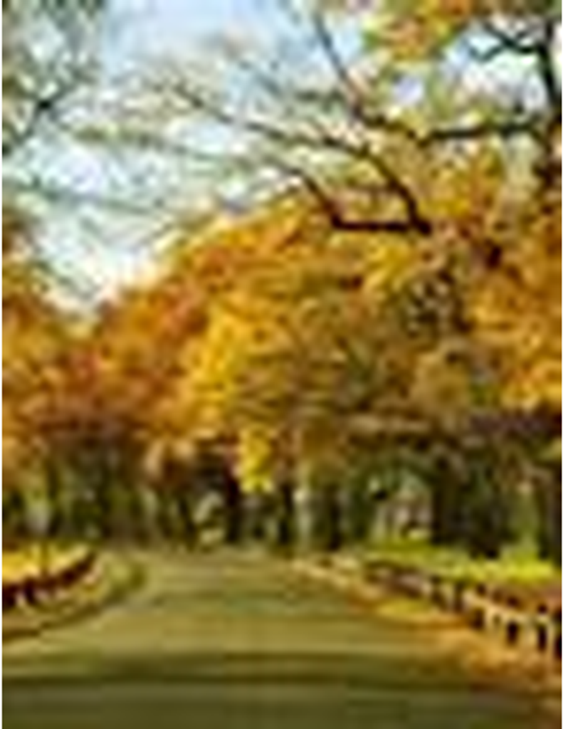 Frank Richard Campbell, Ii